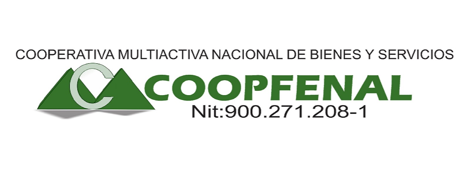 inversiones lidan
